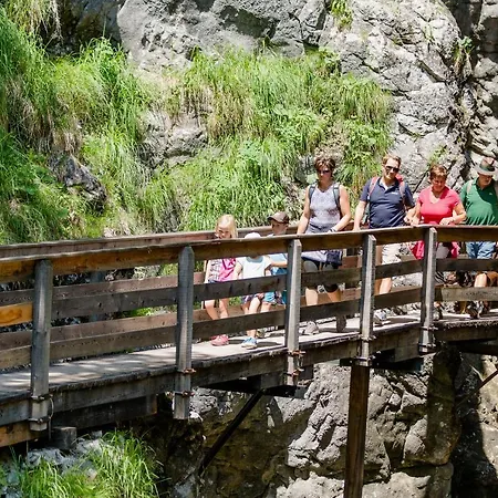 Voglstaetter لوفر