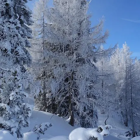 Apartmán Voglstaetter