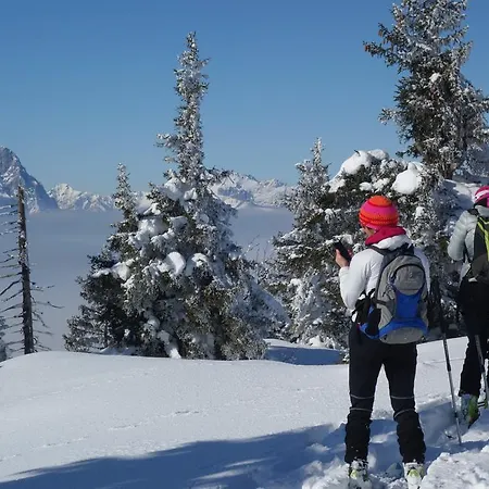 Apartment Voglstätter Lofer