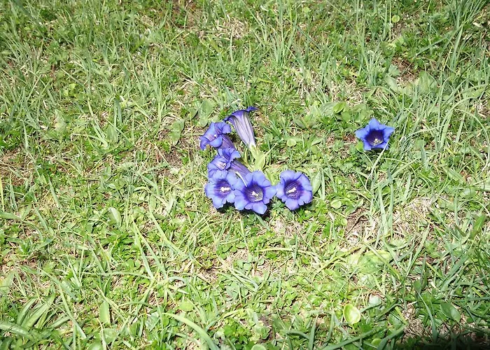 Apartamento Voglstaetter Lofer